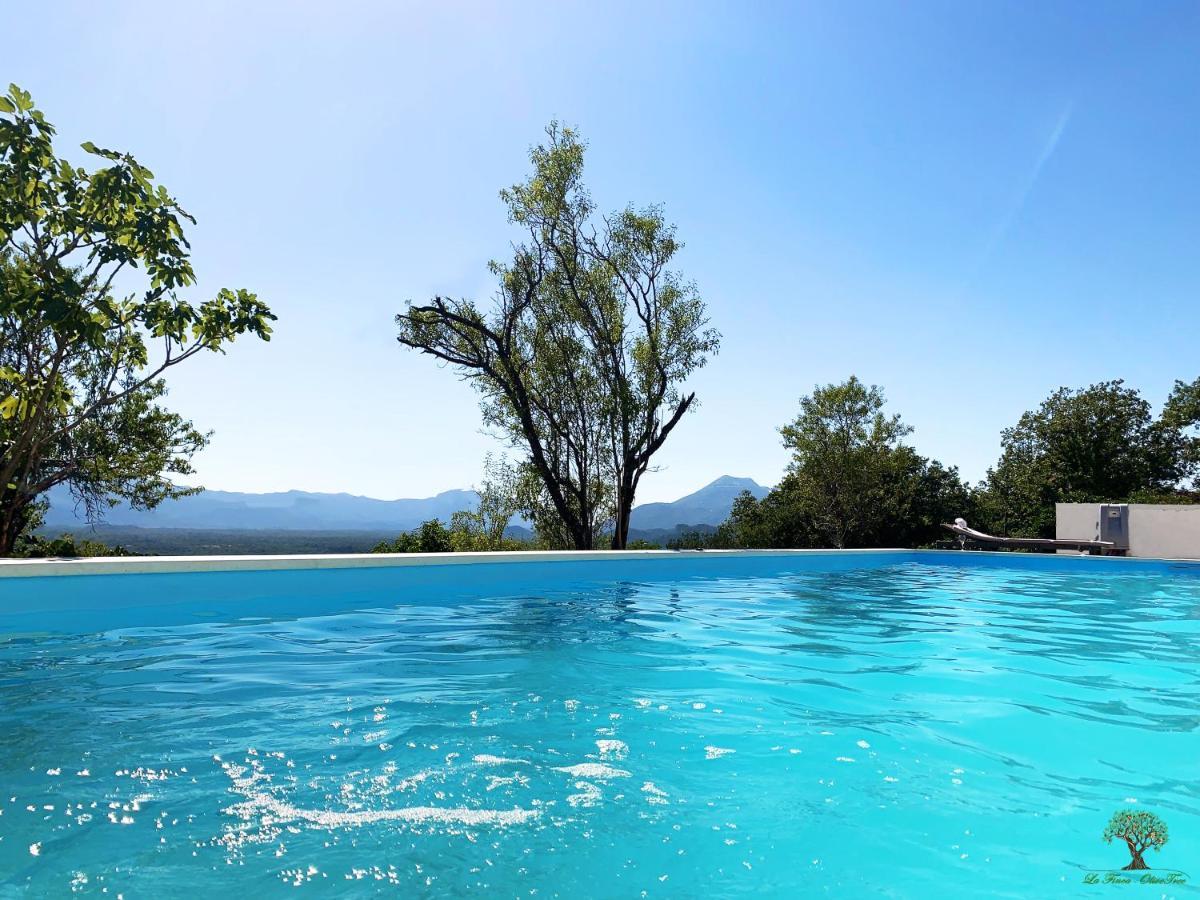 La Finca Olivetree Katuni Zewnętrze zdjęcie