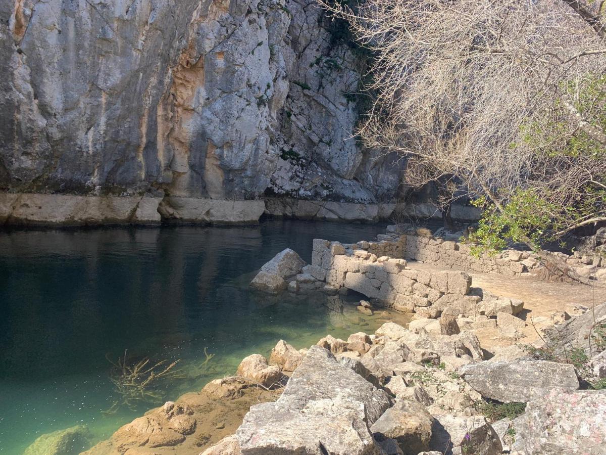 La Finca Olivetree Katuni Zewnętrze zdjęcie